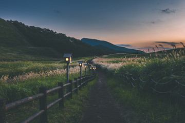 奈良県　曽爾高原のススキと秋の夕景