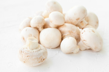 Fototapeta na wymiar Champignon mushrooms on white background. 