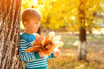 Happy child boy in autumn park. Kids fashion, childhood, lifestyle. Happy autumn holidays. Boy plays with autumn leaves