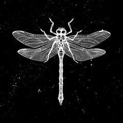 Hand drawnDragonfly vector illustration. Mystic entomological illustration. Vintage high detailed insects drawing on artistic black background.