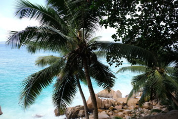 Paradise beach Seychelles