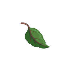 Leaf