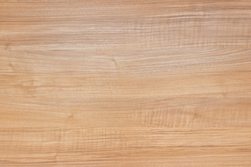 Texture wood background closeup