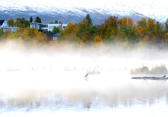 the mist over the lake, Norway .Tromso