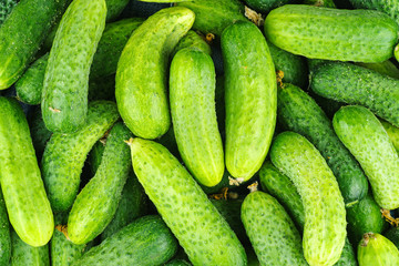 Cucumbers background