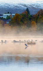 the mist over the lake, Norway .Tromso