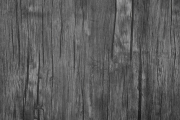 Fototapeta premium Seamless texture of white natural wooden board. background for the designer