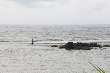 A silhouette of a fisherman. 