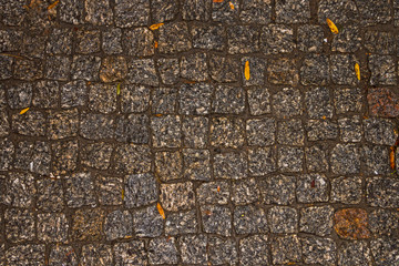 Wet autumn pavement in the evening