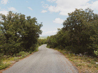 Fototapeta na wymiar Montée ver le Gros Bessillon par la route de la crête bordée de garrigue aux plantes endémiques