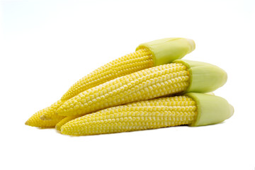 Baby corn on white background.