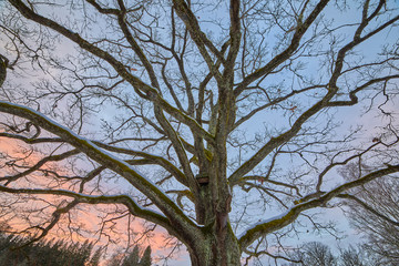 Пушкинские горы