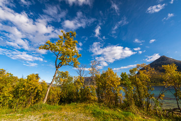 Obraz premium in the mountains of Norway,Tromso
