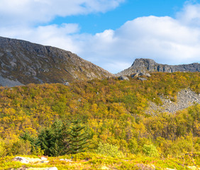 Obraz premium in the mountains of Norway,Tromso