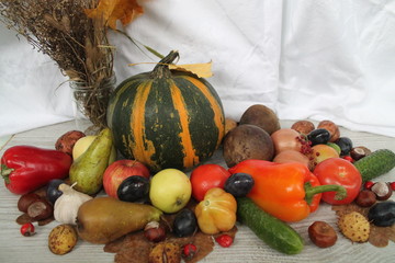 pumpkins and gourds on white background