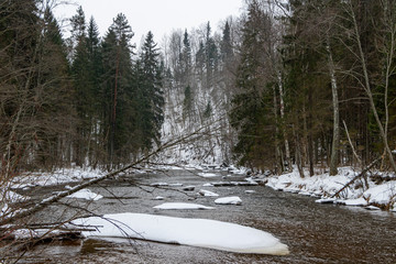 River Amata with ice and snow on a cloudy winter day in Amata geological trail in Latvia