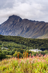 Fototapeta na wymiar in the mountains of Norway,Tromso
