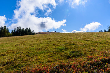 View up to the Feldberg in Germany