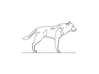 Vector illustration of a wolf isolated on white background
