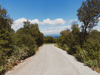 Montée ver le Gros Bessillon par la route de la crête bordée de garrigue aux plantes endémiques