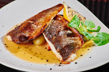 White steak of grilled fish on pillow of vegetables and yellow sauce, with lemon slice and fresh herbs. Fish on white plate on dark beautiful background. Close-up. Space