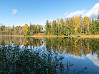 quiet landscape with autumn trees on the water's edge, beautiful reflections