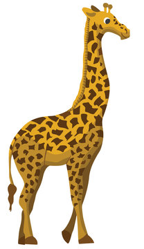 Cartoon giraffe flat illustration