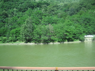 Fototapeta premium The river and the forest
