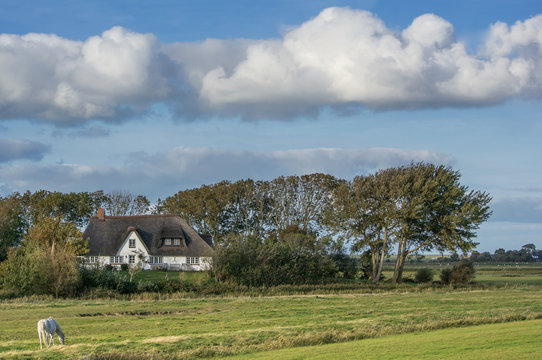 Hauberg Bilder Durchsuchen 141 Archivfotos Vektorgrafiken Und Videos 