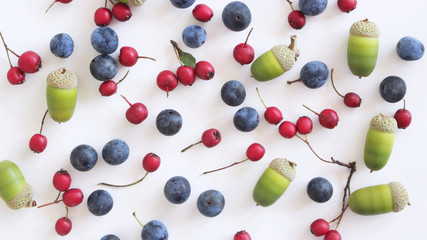 Autumn styled botanical arrangement. Composition from the fruits of the red hawthorn berries, the...
