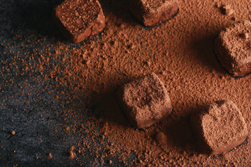 Truffle  sprinkled with cocoa.  Dark chocolate candies in cocoa powder on a dark brown background