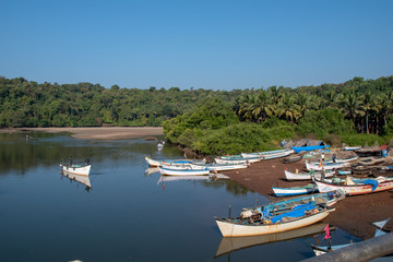 Fototapeta na wymiar South Goa Fishing 