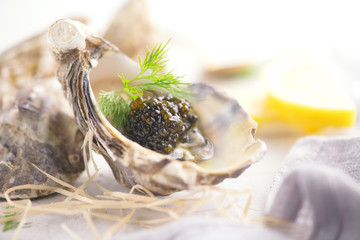 Fresh oysters with black caviar. Opened oysters with black sturgeon caviar and lemon, Gourmet food in restaurant. Delicatessen dish close-up