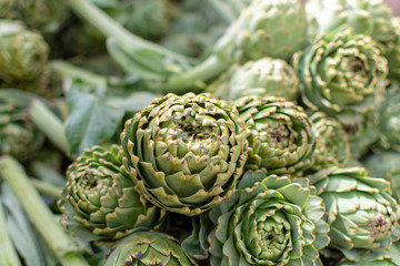 Fototapeta premium Bunch of fresh raw artichokes heads from artichoke plantation in Argolida, Greece on argicultural market in Nafplio