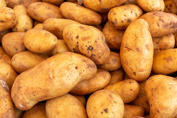 Potatoes on market, new harvest of potatoes vegetables close up