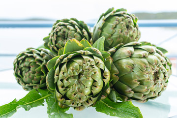 Obraz premium Bunch of fresh raw artichokes heads from artichoke plantation in Argolida, Greece ready to cook