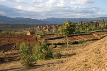Cultures. Antsirabe, Madagascar