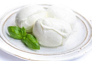 Italian soft cheese mozzarella, white cheese made from cow or buffalo milk with fresh green basil herb