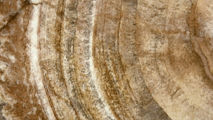Granite Stone Texture Background Black And White Marble Polished Web Texture Background