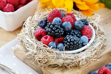 Blueberries, blackberries and raspberries together in one plate.