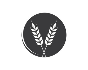Agriculture wheat Logo Template vector icon