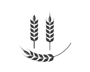 Agriculture wheat Logo Template vector icon