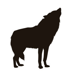 Wolf Silhouette