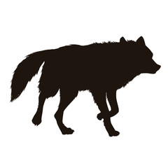 Wolf Silhouette