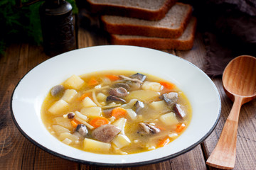 Forest mushroom soup in an enameled plate on a wooden table, horizontal