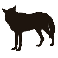 Wolf Silhouette