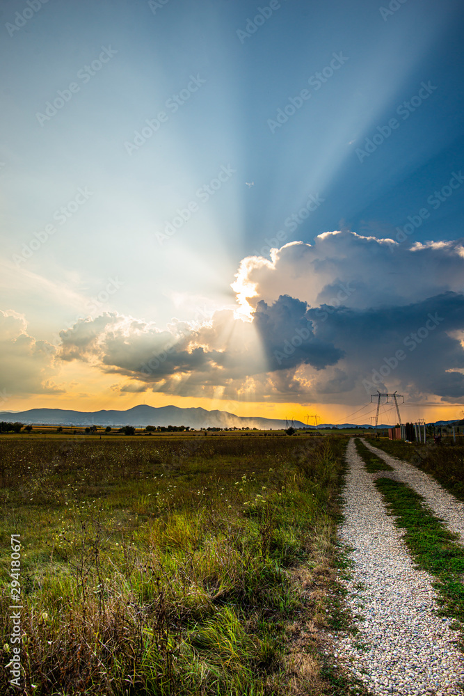 Wall mural road in field