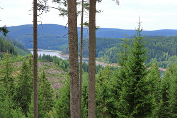 Obraz premium Reservoir Schmalwasser in Thuringia, Germany