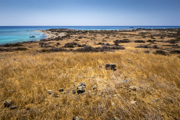 Chrissy island scenery on a sunny summer day with dry trees, brown soil and blue clear sky with haze. © Eugene_Photo