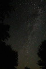 Amazing starry night sky with Milky way and falling stars above lake in mountains. Beautiful night sky and trees. Breathtaking landscape. View on sky from camp tent in woods